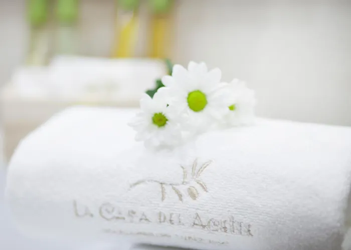 Appartamento Casa Del Aceite Cordova